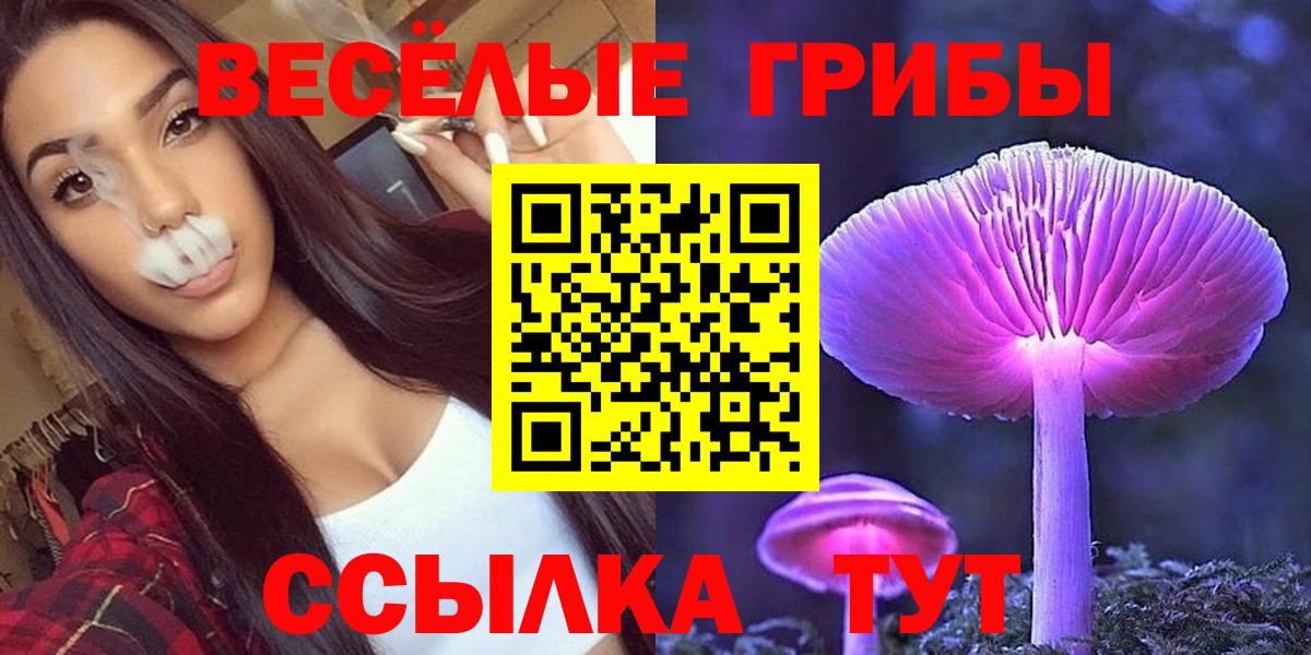Псилоцибиновые грибы Psilocybine cubensis  Галлюциногенные грибы MAGIC MUSHROOMS  Вход с VPN  Большой Камень 